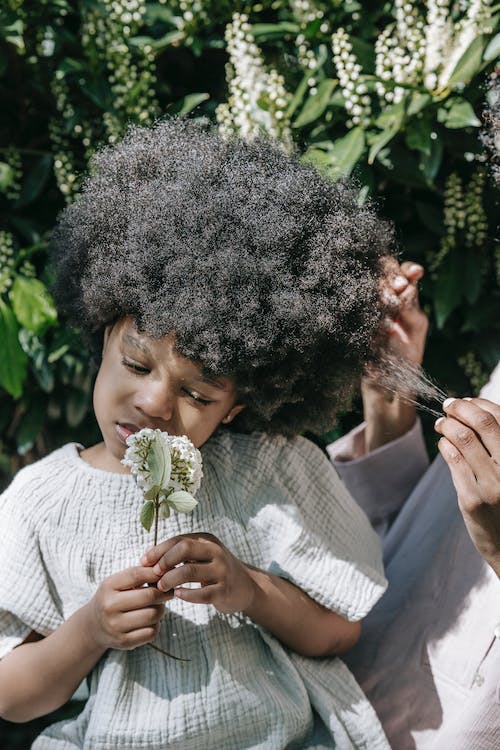 Hydrater les cheveux afro d'un enfant entre deux lavages : la méthode et les erreurs